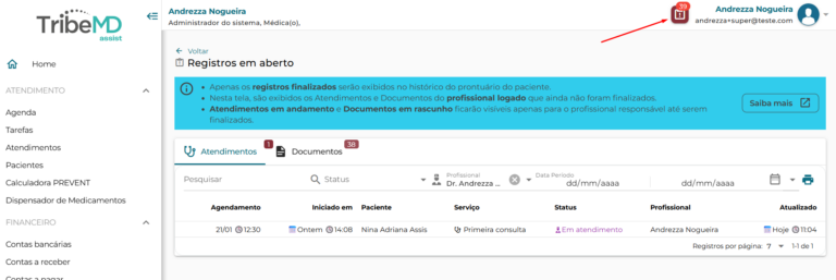 Central de Suporte - BIPP Assistant